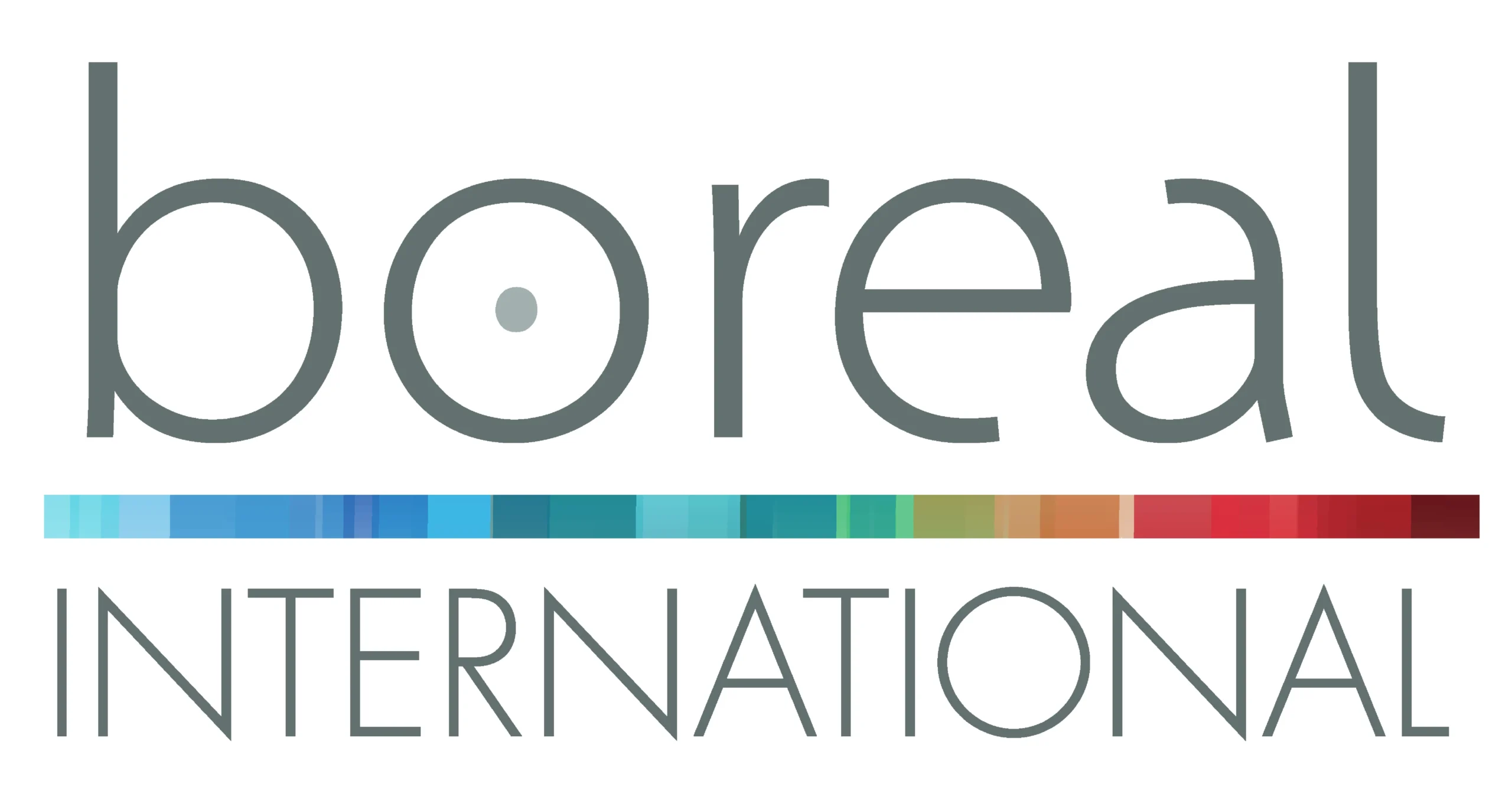 BOREAL INTERNATIONAL
